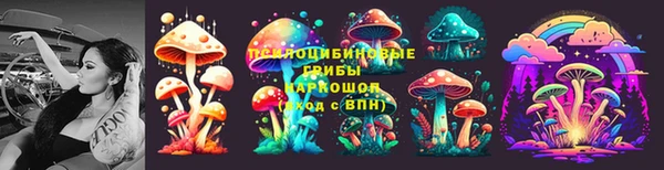сатива Няндома